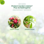 4116480-BA86601288-Protect-Garden-Lizetan-Plus-Schaedlingsfrei-2x4ml_2.jpg
