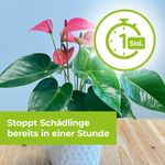 4116480-BA86601288-Protect-Garden-Lizetan-Plus-Schaedlingsfrei-2x4ml_4.jpg