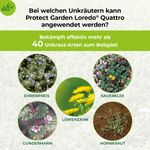 4116481-BA86601414-Protect-Garden-Loredo-Quattro-Universal-Rasenunkrautfrei-100ml_2.jpg