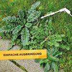 4116485-BA86601250-Solabiol-Grundstoff-Acetum-3l_3.jpg