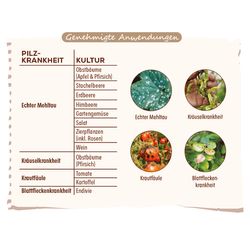 3664715054924-Solabiol-Anwendungen-GrundstoffLecithin.jpg 3664715054924-Solabiol-Anwendungen-GrundstoffLecithin.jpg