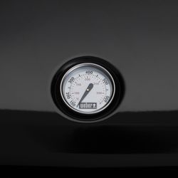 NEU-Lumin-thermometer-Black-F-2rgb.jpg NEU-Lumin-thermometer-Black-F-2rgb.jpg
