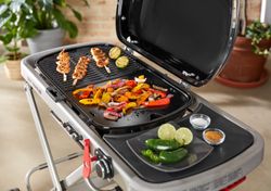 4116813-7034-Weber-Grillplatte-fuer-Traveler.jpg 4116813-7034-Weber-Grillplatte-fuer-Traveler.jpg
