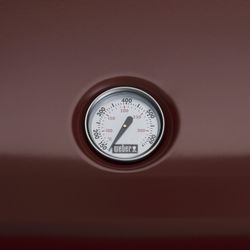 NEU-Lumin-Thermometer-Crimson-F-rgb.jpg NEU-Lumin-Thermometer-Crimson-F-rgb.jpg