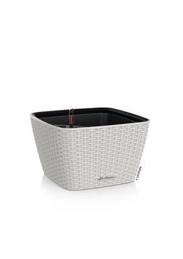 LECHUZA BACINO Cottage Komplettset lichtgrau