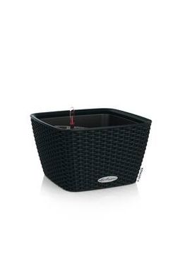 LECHUZA BACINO Cottage Komplettset graphitschwarz