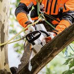 ST12522000044-STIHL-MSA-161-04.jpg