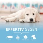 4117312-ARPGD750-ARKA-Pipi-Weg-Urin--und-Fleckenentferner-Hund-750ml_3.jpg