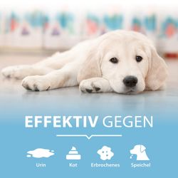 4117312-ARPGD750-ARKA-Pipi-Weg-Urin--und-Fleckenentferner-Hund-750ml_3.jpg 4117312-ARPGD750-ARKA-Pipi-Weg-Urin--und-Fleckenentferner-Hund-750ml_3.jpg