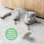 4117313-ARPGC750-ARKA-Pipi-Weg-Urin--und-Fleckenentferner-Katze-750ml_2.jpg