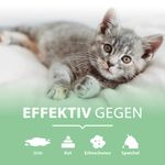 4117313-ARPGC750-ARKA-Pipi-Weg-Urin--und-Fleckenentferner-Katze-750ml_4.jpg