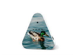 Kopie-von-Lakesidebox-LE-Wild-Duck.png Kopie-von-Lakesidebox-LE-Wild-Duck.png