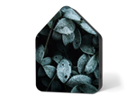 Kopie-von-Zwitscherbox-LE-Frosty-Leaves.png