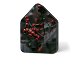 Kopie-von-Zwitscherbox-LE-Merry-Berries.png