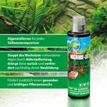 4117661-ARALG04-ARKA-Microbe-Lift-Algaway-118ml_2.jpg