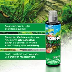 4117661-ARALG04-ARKA-Microbe-Lift-Algaway-118ml_2.jpg 4117661-ARALG04-ARKA-Microbe-Lift-Algaway-118ml_2.jpg