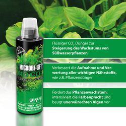 4117671-ARBNGBC08-ARKA-Bio-CO---Kohlenstoffduenger-fuer-Pflanzen-mit-Bakterien-236ml_3.jpg 4117671-ARBNGBC08-ARKA-Bio-CO---Kohlenstoffduenger-fuer-Pflanzen-mit-Bakterien-236ml_3.jpg