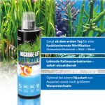 4117682-ARNITEH04-ARKA-Microbe-Lift-Nite-Out-II-118ml_3.jpg