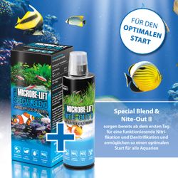 4117695-ARSBH16-ARKA-Microbe-Lift-Special-Blend-473ml_7.jpg 4117695-ARSBH16-ARKA-Microbe-Lift-Special-Blend-473ml_7.jpg