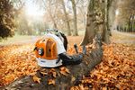 4117721-ST42822000021-STIHL-Rueckentragbarer-Benzin-Laubblaeser-BR-700_2.jpg