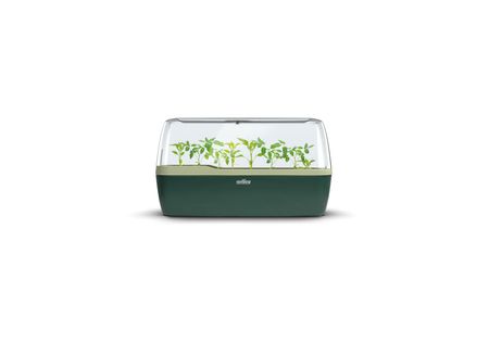 Romberg BoQube L Plus Green Edition Gewächshaus & Pflanzkasten, 41x17x23