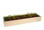 4117767-RO10093202-Romberg-Holz-Anzuchthaus-L-57x17x13-cm-mit-16-Pots--FSC-zertifiziertes-Holz_3.jpg