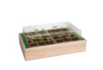 4117768-RO10093203-Romberg-Holz-Anzuchthaus-M-37x24x13-cm-mit-24-Pots--FSC-zertifiziertes-Holz_4.jpg