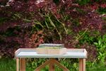 4117768-RO10093203-Romberg-Holz-Anzuchthaus-M-37x24x13-cm-mit-24-Pots--FSC-zertifiziertes-Holz_5.jpg