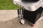 4118341-1500384-Weber-Genesis-E-315-Gasgrill_2.jpg
