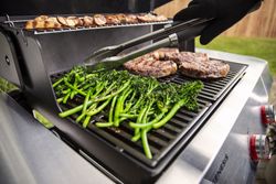 4118341-1500384-Weber-Genesis-E-315-Gasgrill_3.jpg 4118341-1500384-Weber-Genesis-E-315-Gasgrill_3.jpg