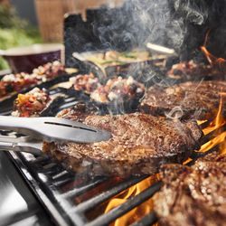 4118342-1500430-Weber-Genesis-E-415-Gasgrill_3.jpg 4118342-1500430-Weber-Genesis-E-415-Gasgrill_3.jpg