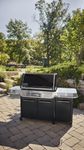 4118345-1500093-Weber-Summit-FS38X-E-Smart-Gasgrill-Black_5.jpg