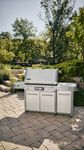 4118346-1500094-Weber-Summit-FS38X-S-Smart-Gasgrill-Edelstahl_9.jpg