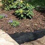4118399-WI06754-Windhager-Unkraut-Vlies-5x1-6m-50g-m--_1.jpg