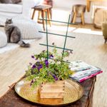 4118415-WI05712-Windhager-Blumenstuetze-57x31-cm--gerade.jpg