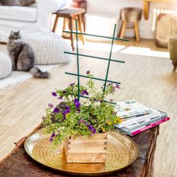 4118415-WI05712-Windhager-Blumenstuetze-57x31-cm--gerade.jpg 4118415-WI05712-Windhager-Blumenstuetze-57x31-cm--gerade.jpg