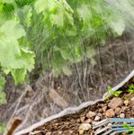 4118421-WI06774-Windhager-Insektenschutz-Netz-5x2m-weiss_1.jpg