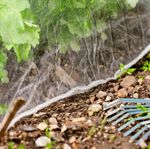 4118421-WI06774-Windhager-Insektenschutz-Netz-5x2m-weiss_2.jpg