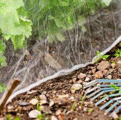 4118421-WI06774-Windhager-Insektenschutz-Netz-5x2m-weiss_2.jpg 4118421-WI06774-Windhager-Insektenschutz-Netz-5x2m-weiss_2.jpg