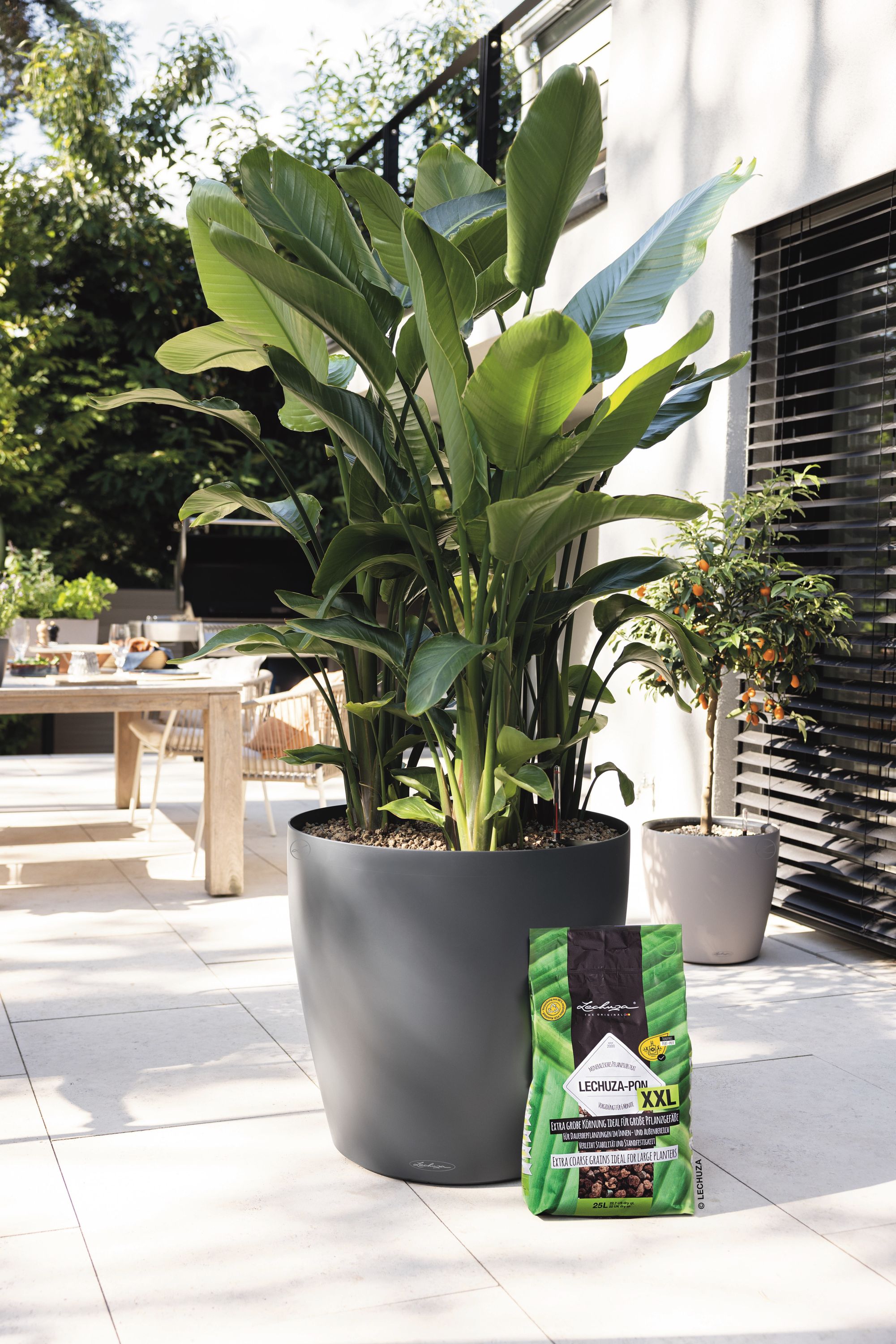 LECHUZA-PON XXL 25l | meingartencenter24.de - Garten Online Shop & Weber  Grill Store