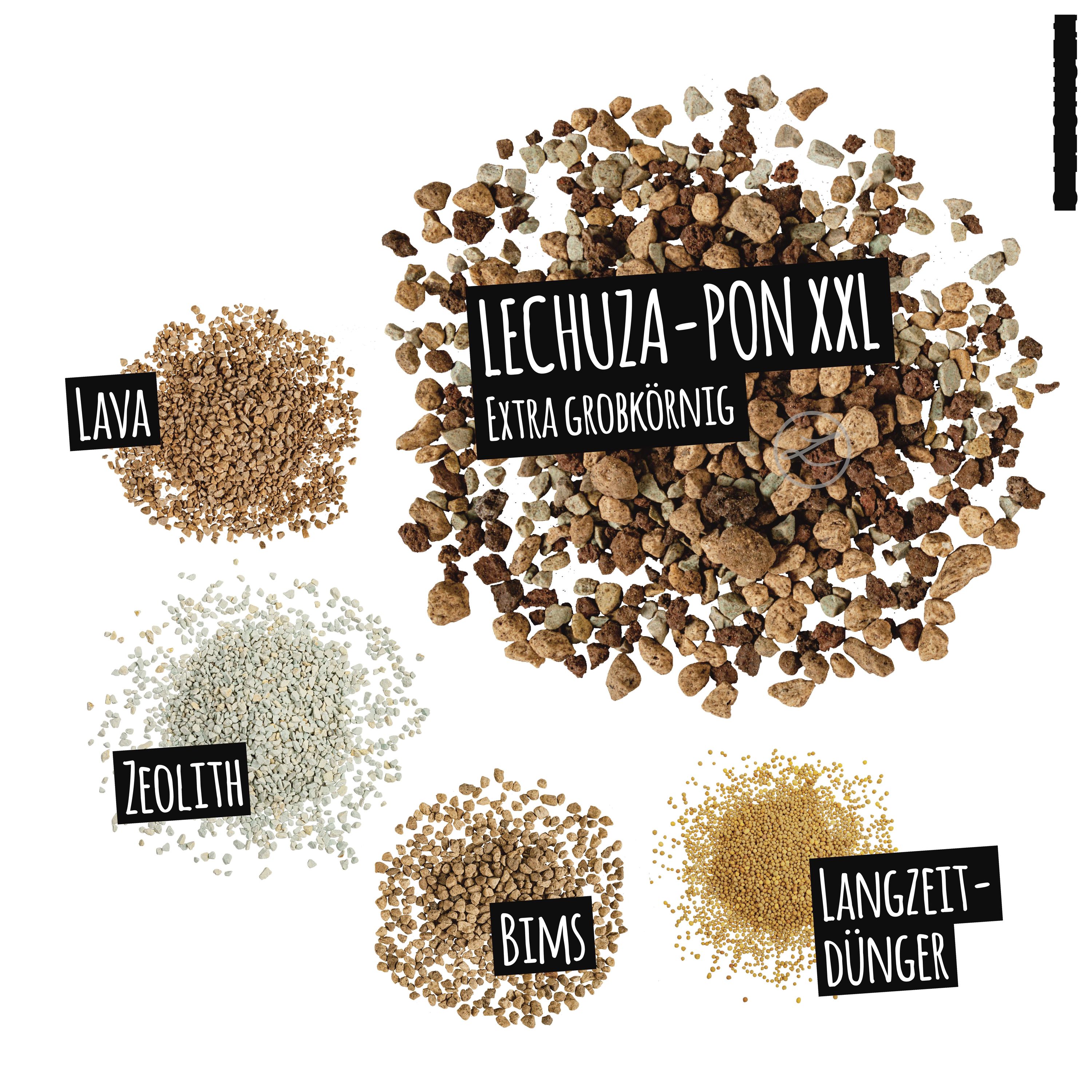 LECHUZA-PON XXL 25l | meingartencenter24.de - Garten Online Shop & Weber  Grill Store