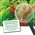 4118686-ARBNGNPK04-ARKA-Plants-NPK-fluessiger-NPK-Duenger-fuer-Pflanzen-118ml_5.jpg