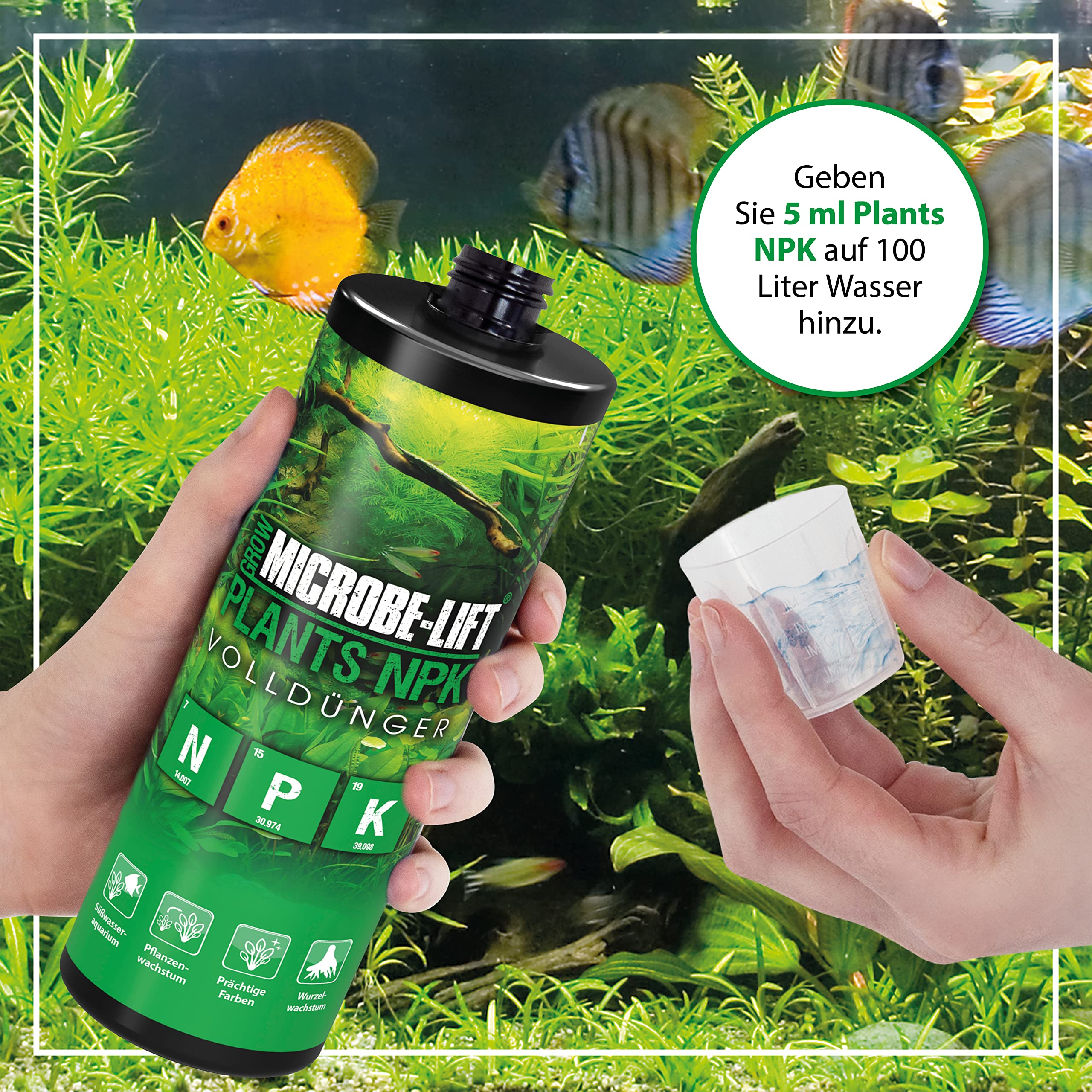 herpes aloe Aloe Vera Seife ca.150g, empfohlen bei Ekzemen, Neurodermitis, Herpes und  Schuppenflechten
