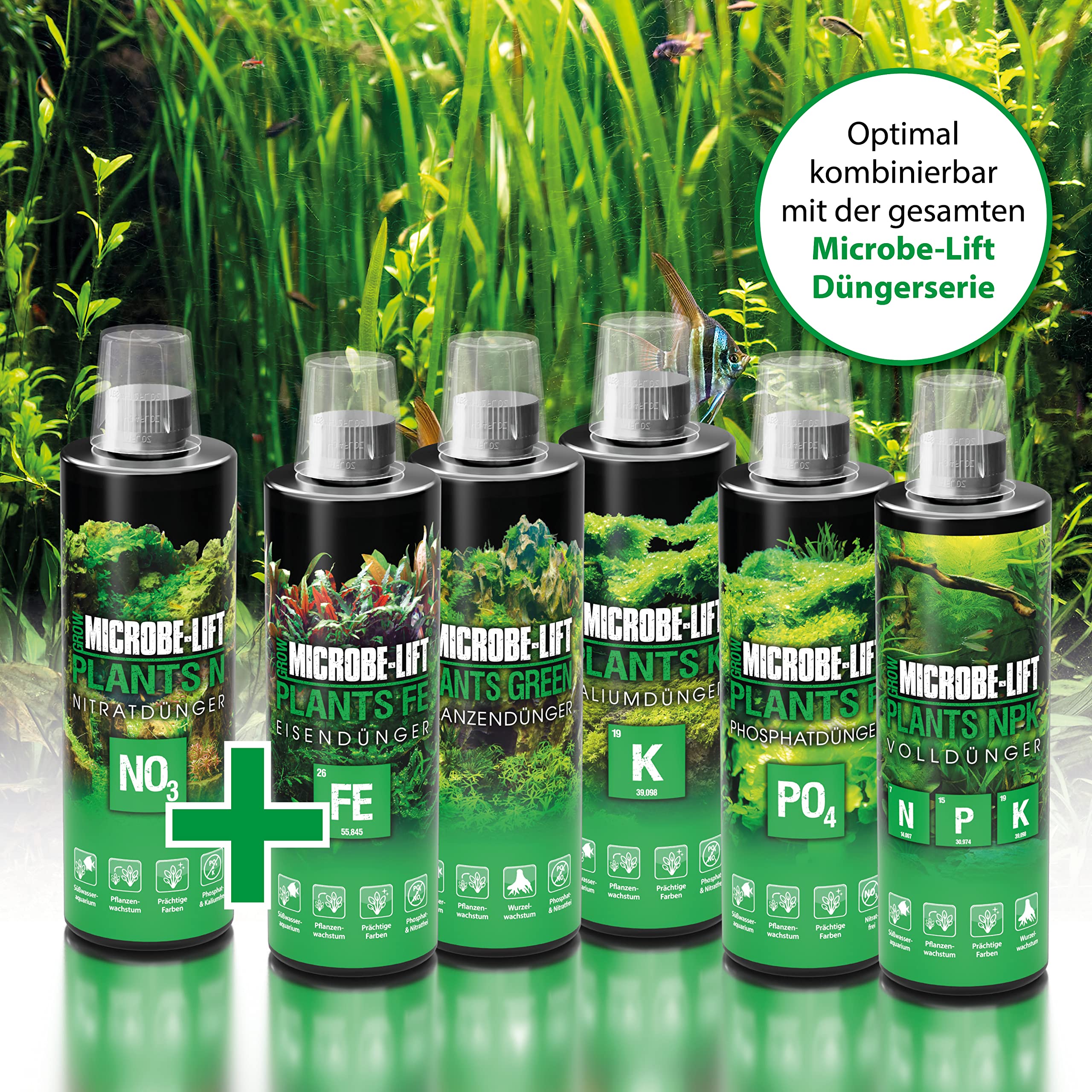 dünger fächerahorn Japanischer Ahorn Dünger von Flora Boost für gesunde Fächerahorn-Pflanzen main image 0