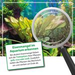 4118701-ARBNGIR5-ARKA-Plants-Fe-fluessiger-Eisen-Duenger-fuer-Pflanzen-5l_4.jpg
