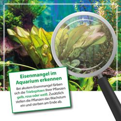 4118701-ARBNGIR5-ARKA-Plants-Fe-fluessiger-Eisen-Duenger-fuer-Pflanzen-5l_4.jpg 4118701-ARBNGIR5-ARKA-Plants-Fe-fluessiger-Eisen-Duenger-fuer-Pflanzen-5l_4.jpg