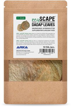 ARKA Dadap Leaves 7-13cm 10 Stück