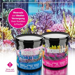 4118735-ARSALTRMD-ARKA-Premium-Reef-Salt-10kg-Eimer_7.jpg 4118735-ARSALTRMD-ARKA-Premium-Reef-Salt-10kg-Eimer_7.jpg