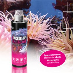 4118741-ARALL04-ARKA-All-in-One-Spurenelemente-Versorgung-118ml_7.jpg 4118741-ARALL04-ARKA-All-in-One-Spurenelemente-Versorgung-118ml_7.jpg