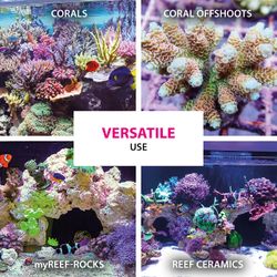 4118824-ARCSCA50-ARKA-Coralscaper-Sekundenkleber-50g_5.jpg 4118824-ARCSCA50-ARKA-Coralscaper-Sekundenkleber-50g_5.jpg